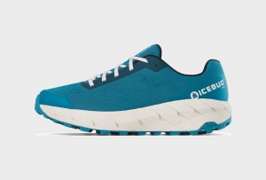 Light Turquoise Men's Icebug Arcus RB9X Running Shoes | USA-ZTH078934