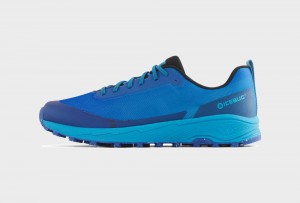 Light Turquoise / Blue Men's Icebug Horizon RB9X Running Shoes | USA-OCG352870